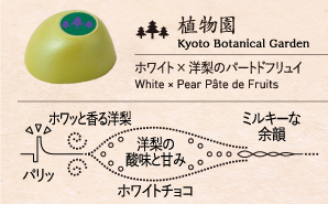 植物園 Kyoto Botanical Garden ホワイト × 洋梨のパートドフリュイ White × Pear Pâte de Fruits