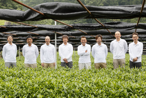 茶の菓 | 京都 北山 マールブランシュの公式サイト
