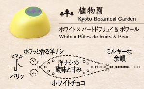 植物園 Kyoto Botanical Garden ホワイト × 洋ナシのパートドフリュイ White × Poire Pâte de Fruits