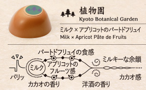 植物園 Kyoto Botanical Garden ミルク × アプリコットのパートドフリュイ Milk × Apricot Pâte de Fruits