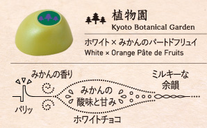 植物園 Kyoto Botanical Garden ホワイト × みかんのパートドフリュイ White × Orange Pâte de Fruits