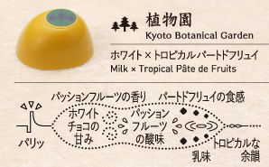 植物園 Kyoto Botanical Garden ホワイト × トロピカルパートドフリュイ Milk × Tropical Pâte de Fruits