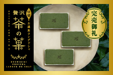 【今シーズン完売】口切お濃茶ラングドシャ 贅沢茶の菓