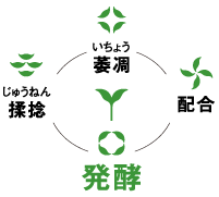 萎凋（いちょう）・揉捻（じゅうねん）・配合・発酵