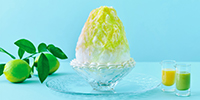 【北山本店】雪の菓かき氷 京檸檬